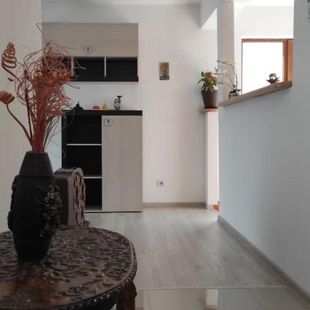 Apartament Trei Stejari Sibiu Exteriér fotografie