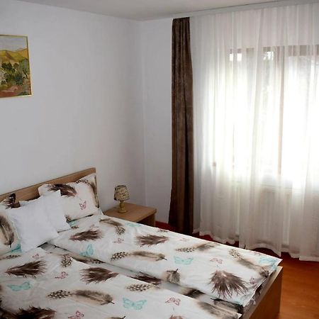 Apartmán Apartament Trei Stejari Sibiu Exteriér fotografie